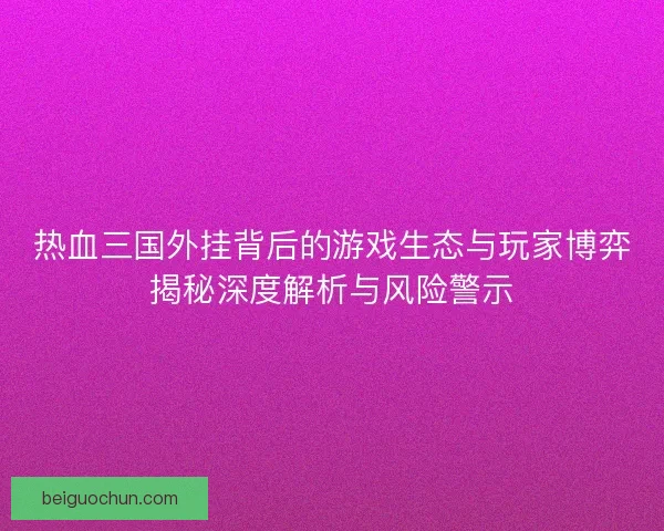 热血三国外挂背后的游戏生态与玩家博弈揭秘深度解析与风险警示